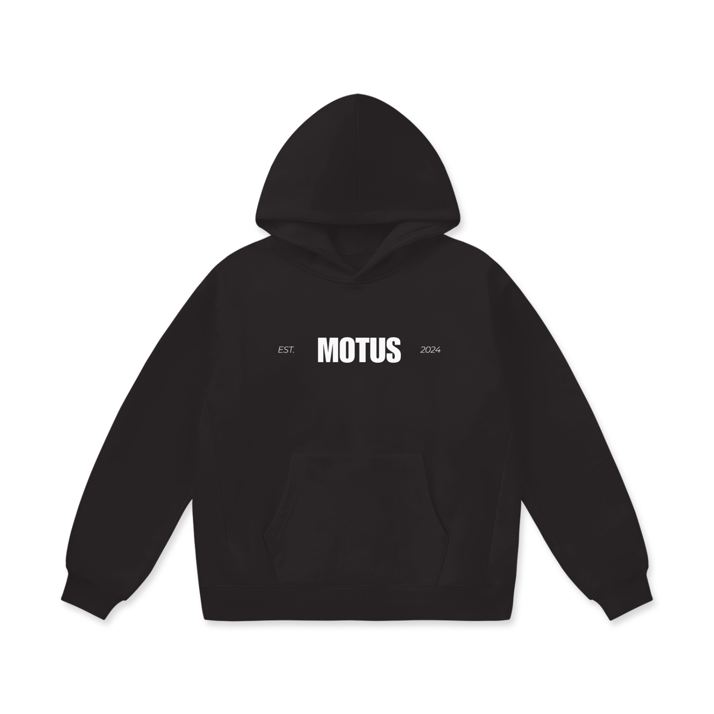 "Est. 2024" Oversized Heavyweight Hoodie