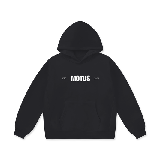 "Est. 2024" Oversized Heavyweight Hoodie